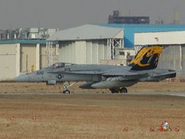 hornet